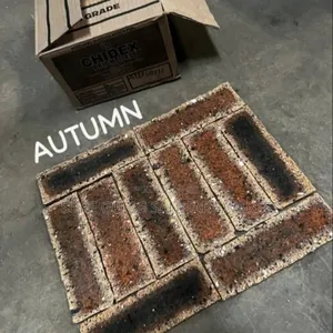 Autumn South African Bricks