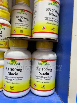 B3 500mg Niacin