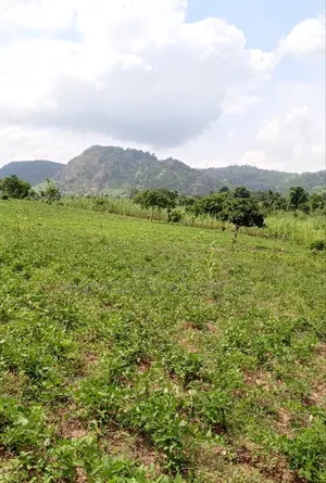 22 Hectares of Farm Land for Sale in Kuje Abuja