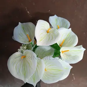 Lily Flower Available