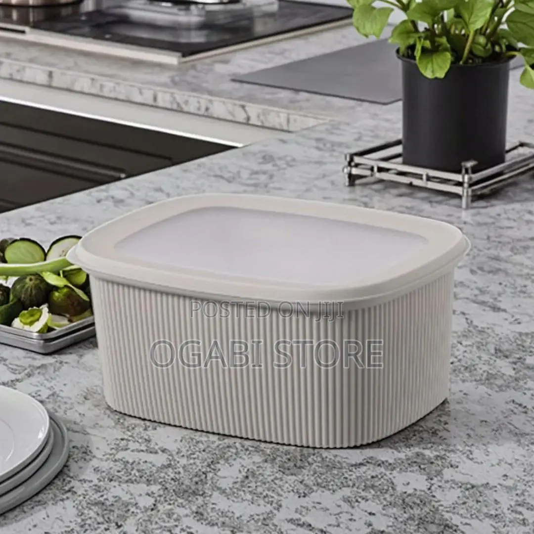 4pcs Rectangular Food Storage Container