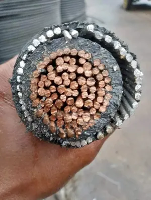 500mm Single Armoured Cable