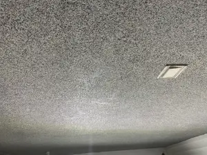 Ultra Sandtex And Marble Trowel.
