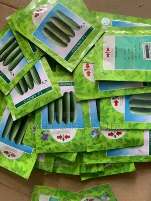 Daewy F1 -Cucumber Seed -500seeds