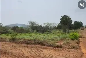 50x100sq,Meter:Land for Sale Ogwashi Uku Phase (1).