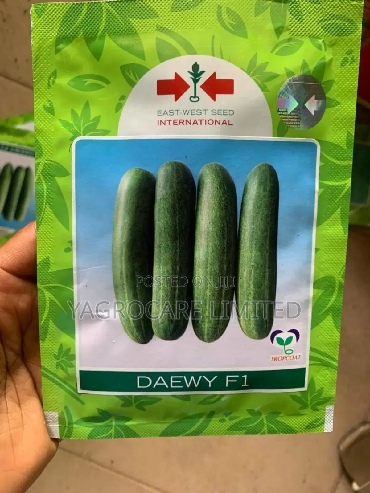 Daewy F1 -Cucumber Seed -10g