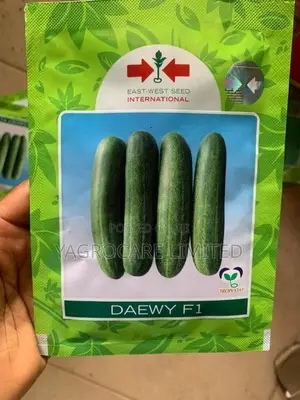 Daewy F1 -Cucumber Seed -10g