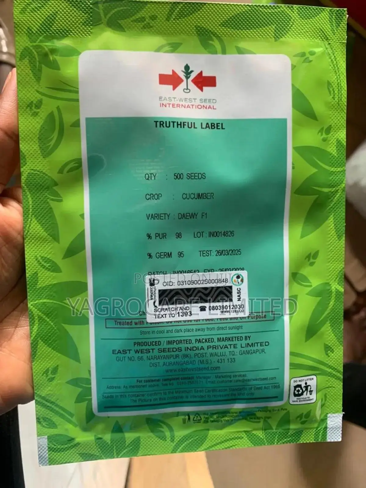 Daewy F1 -Cucumber Seed -10g
