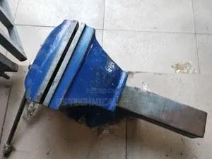 8" Vice Record