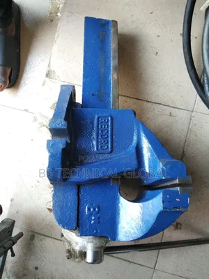 8" Vice Record