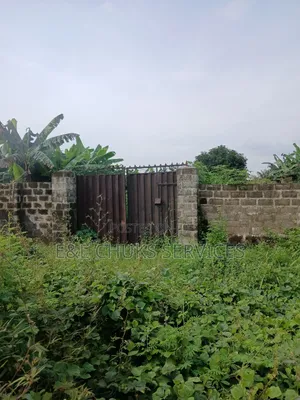 Fenced and Gated 2 Plots for Sale at Eneka