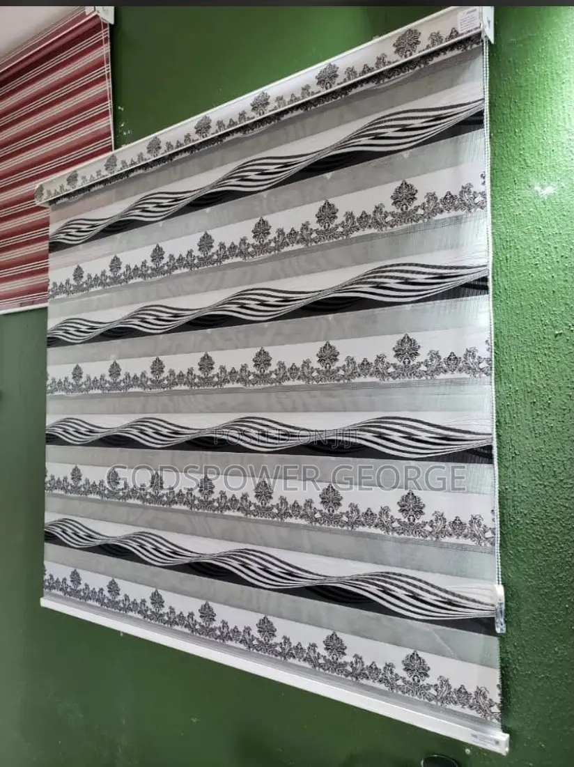 Day and Night Window Blinds
