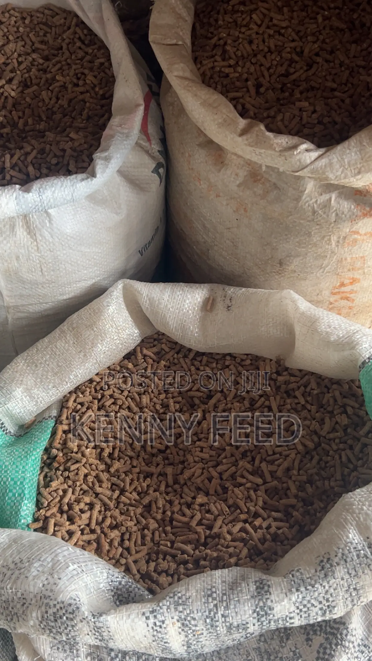 Fish Feed Pellet Feed