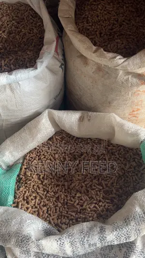 Fish Feed Pellet Feed
