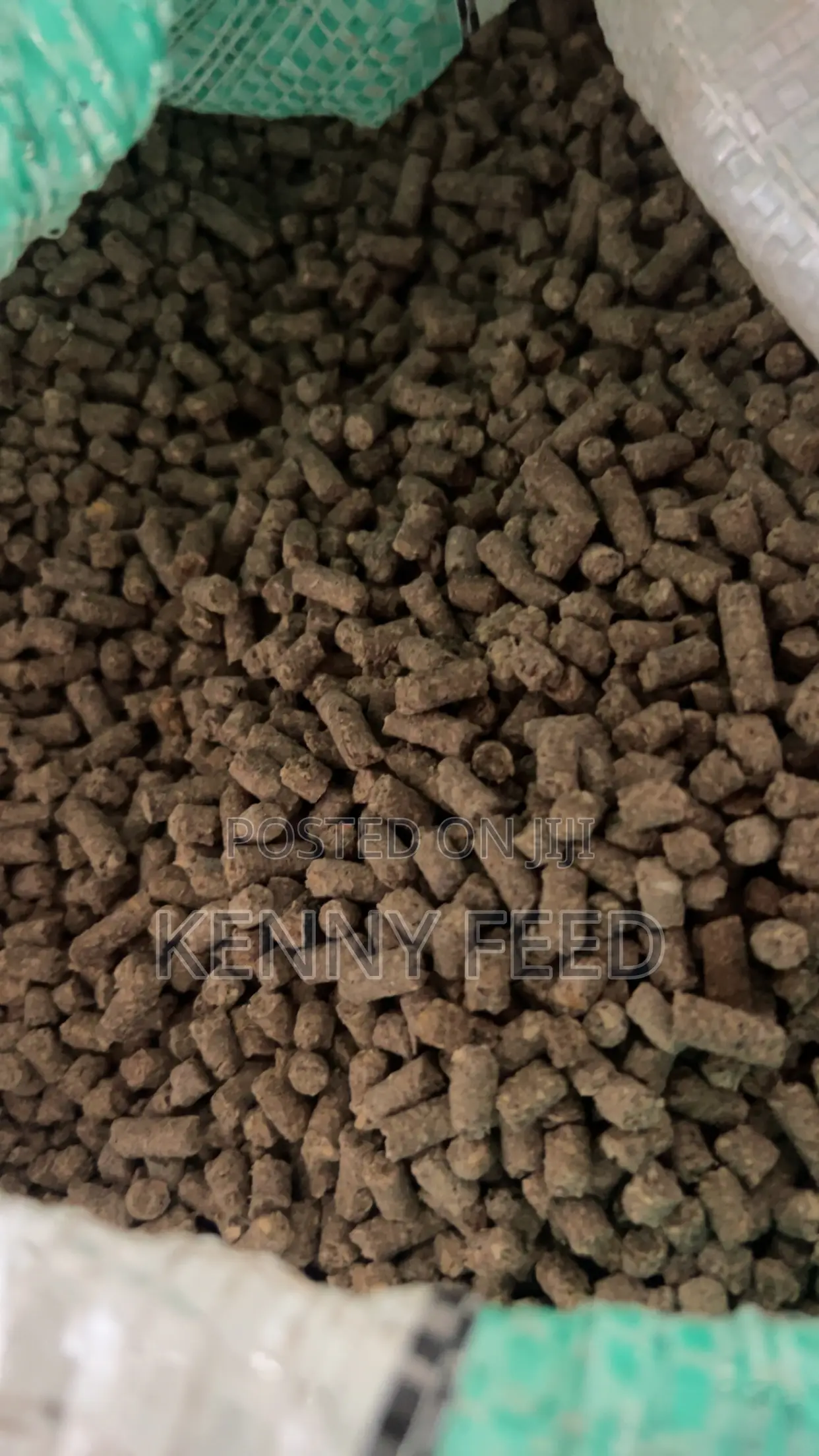 Fish Feed Pellet Feed