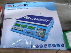 Electronic Pricing Scale