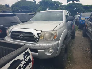 Toyota Tacoma Access Cab V6 2009 Silver