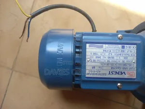 1hp Italy Venest Surface Pump