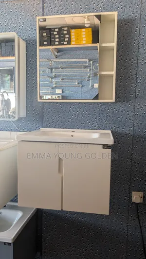 Wk Cabinet Basin With Cabinet Mirror