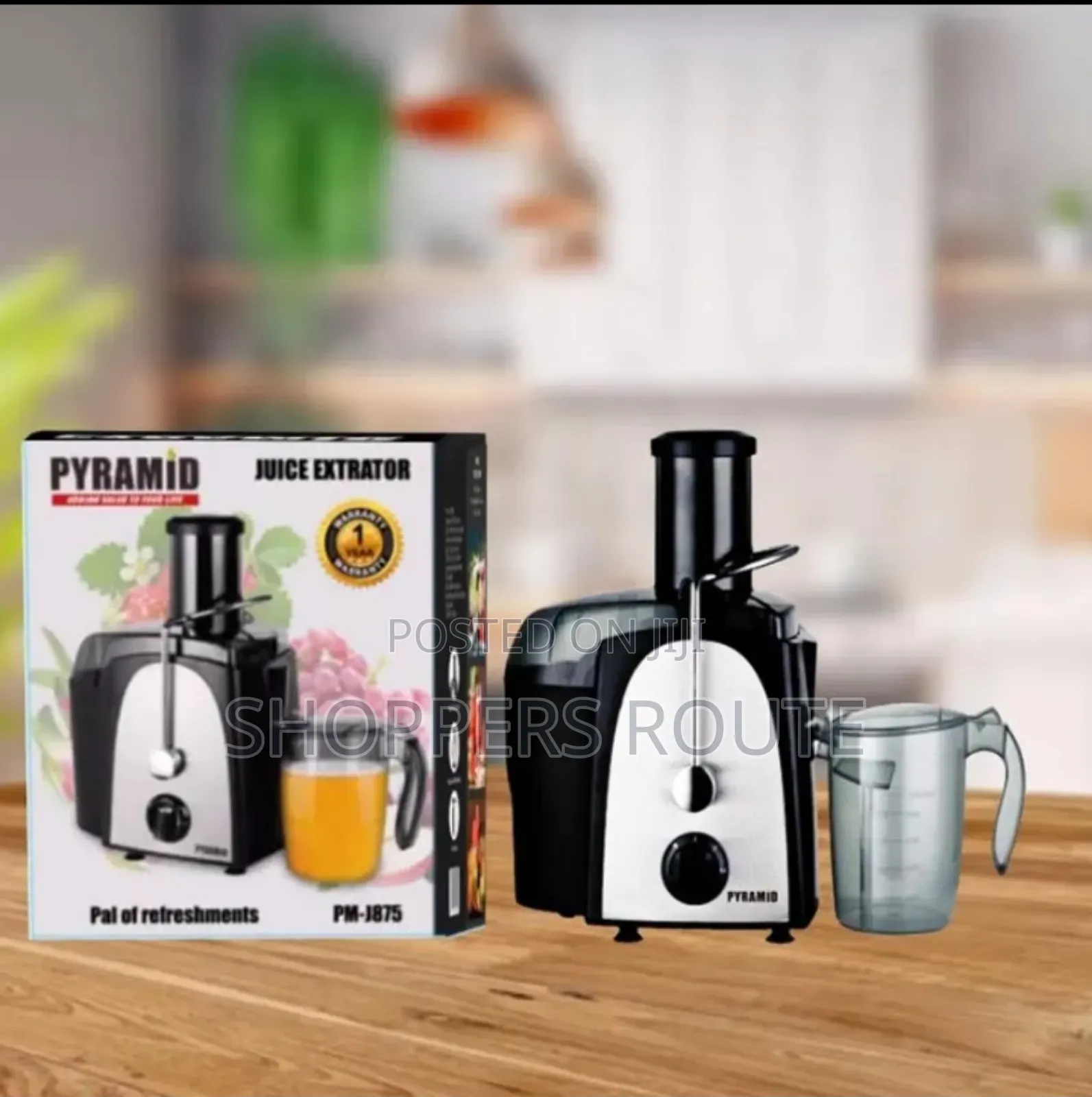 Pyramid Juice Extractor
