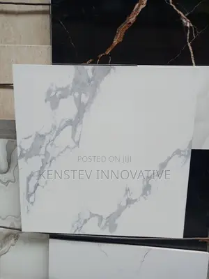 Quality Tiles for Modern House and Hotels