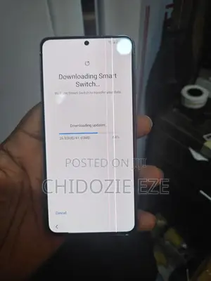 Samsung S21 Screen With Line