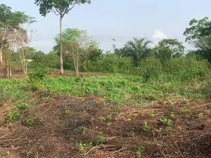 500sqm Residential Land for Sale in Guzape