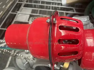 Iron Filter