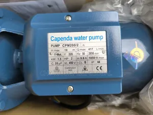 Capenda Electric Surface Water Pumping Machine (2hp by 2")