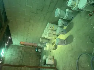 Luxury Paint