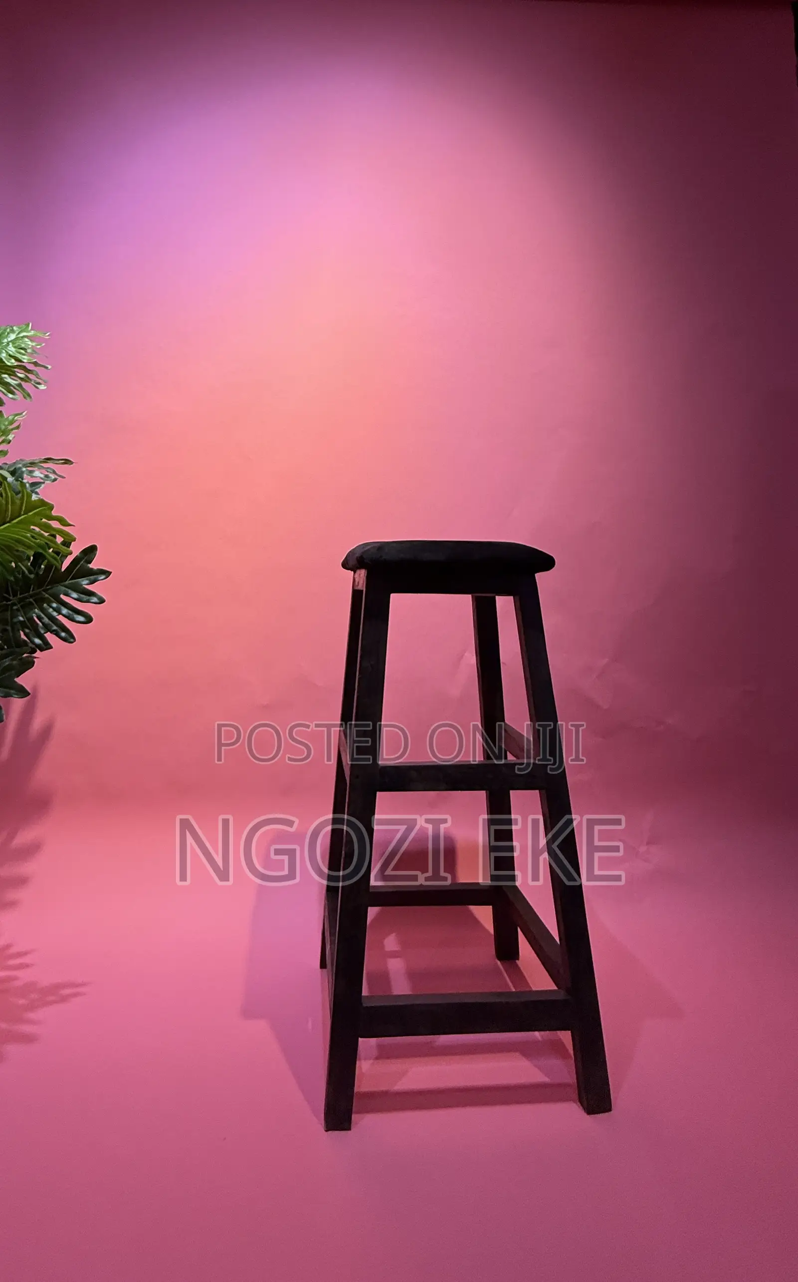 Electra Studio Backdrop Space