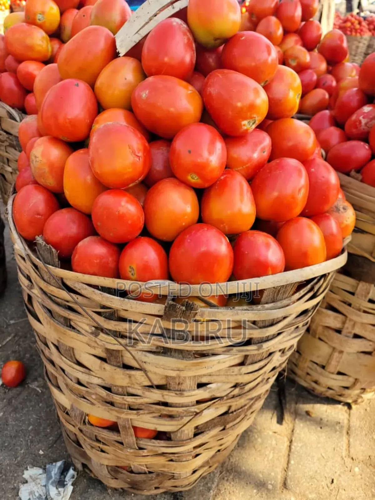 Fresh Tomato U T C Jos Derika