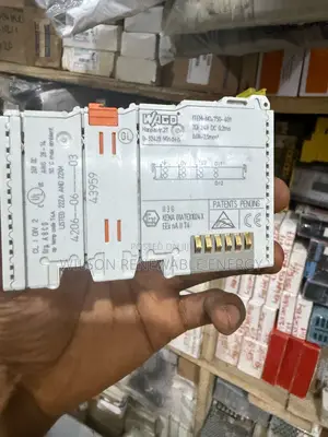 Wago Module