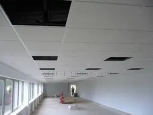Suspended Ceiling