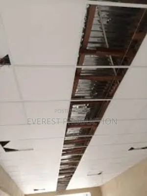 Suspended Ceiling