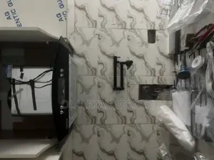 Professional Plumber