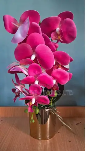 Pink Phalaenopsis Orchid With Gold Pot - 60cm