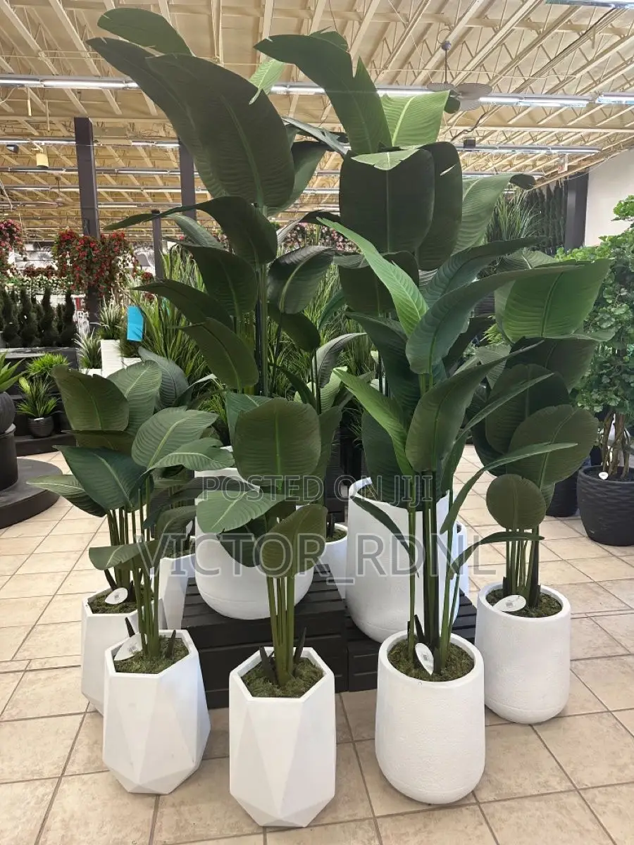 Presidential Flower Pots