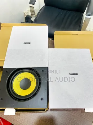 Tundra 100 Watt Wall Speakers Pair