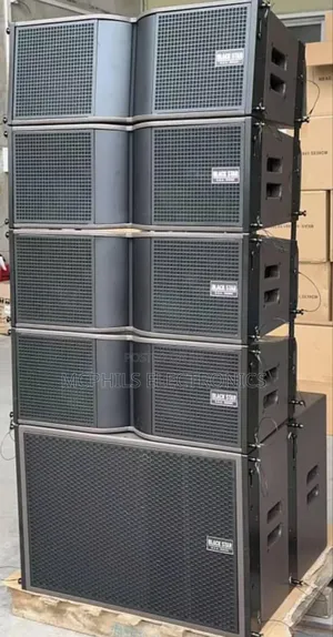 Blackstar Double 10inches Line Array