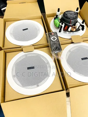Tundra 30 Watt 4 in 1 Ceiling Speaker With Remote