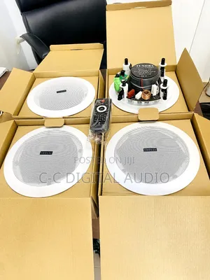 Tundra for in 1 Bluetooth Ceiling Speaker With Remote