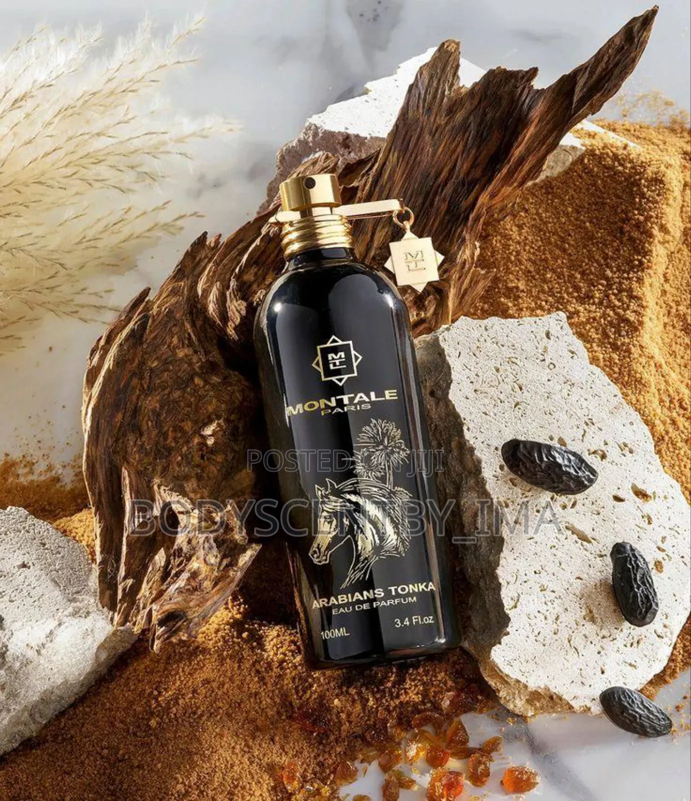 Montale Arabian Tonka Perfume