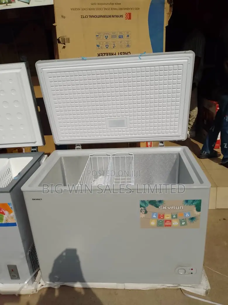 Skyrun Freezer 300l