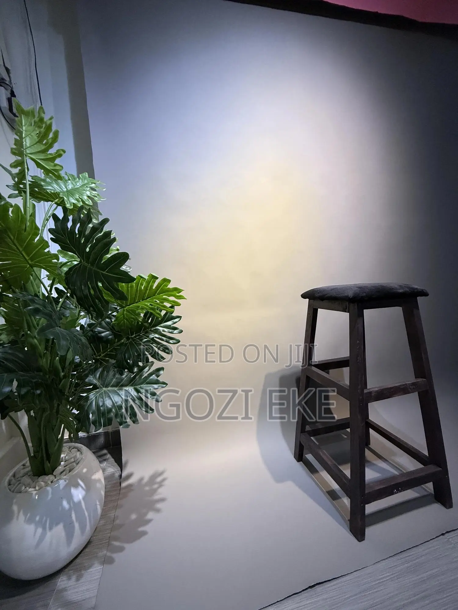 Electra Studio Backdrop Space