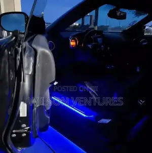 Car Door Step Light