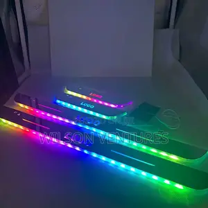 Car Door Step Light