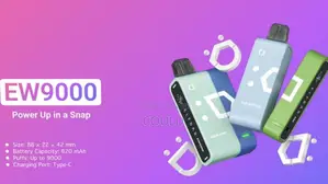 Elfbar Ew9000 Kit 9000puffs of Strawberry Kiwi Lce