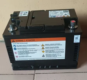 Porsche Lithium Battery