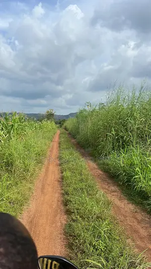 100 Acres of Land Available for Sale in a Secure Place